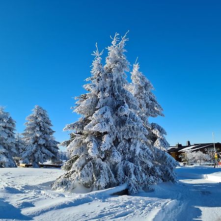 Hotel & Ferienappartements Edelweiss Willingen  Bagian luar foto