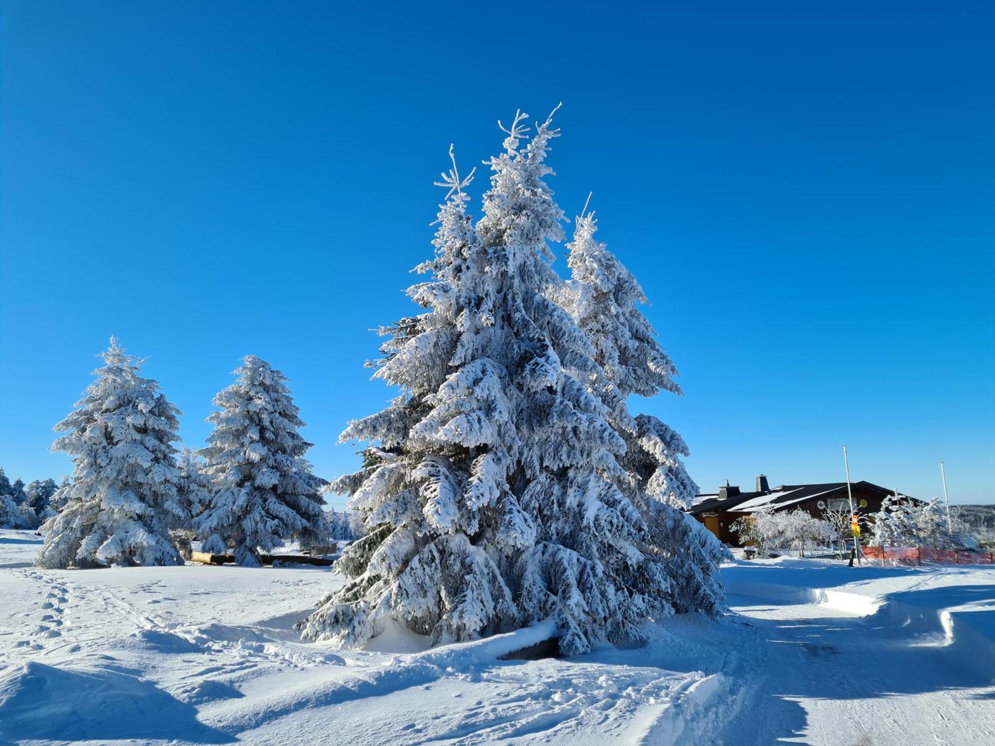 Hotel & Ferienappartements Edelweiss Willingen  Bagian luar foto
