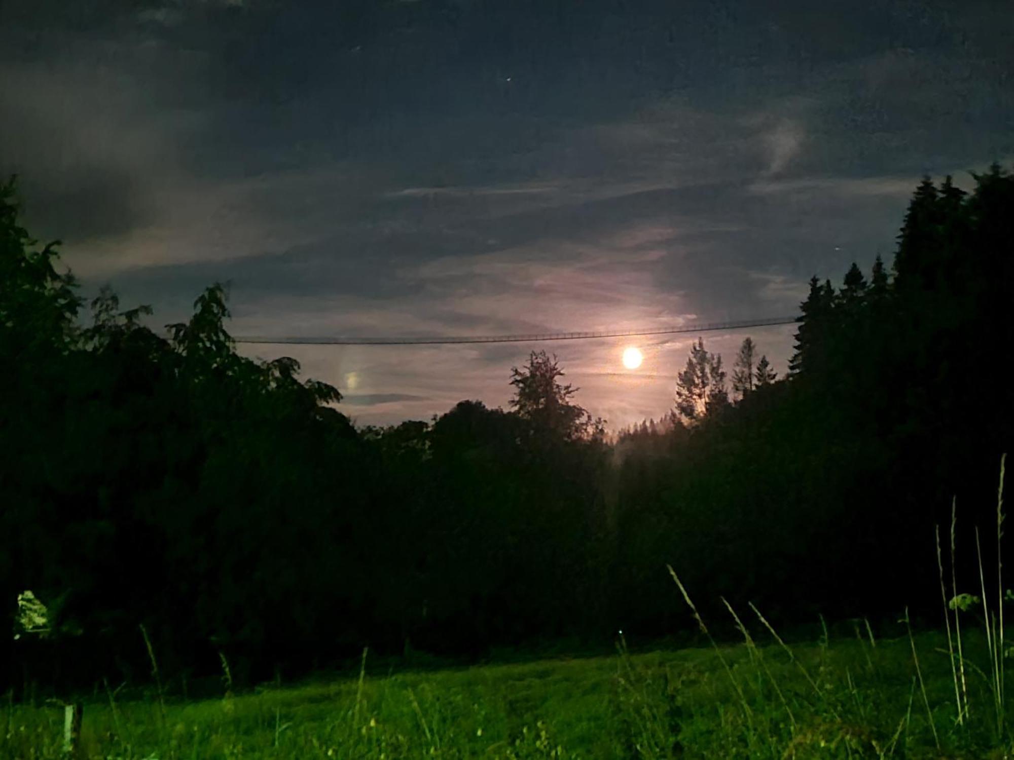 Hotel & Ferienappartements Edelweiss Willingen  Bagian luar foto